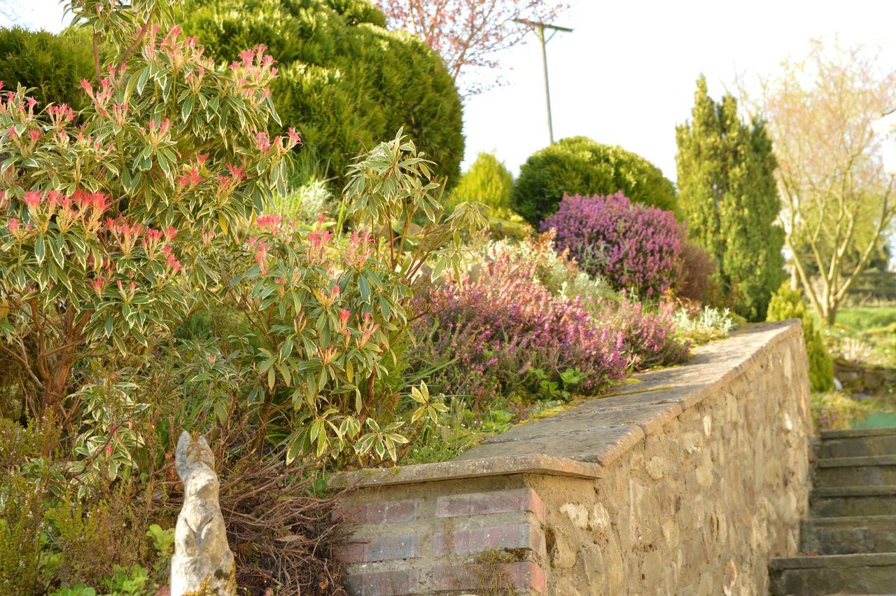 Bryn Hebog Carmarthen Exterior foto